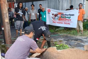 PKS Kota Tegal Salurkan 4.672 Paket Daging Kurban Serentak di 4 Dapil