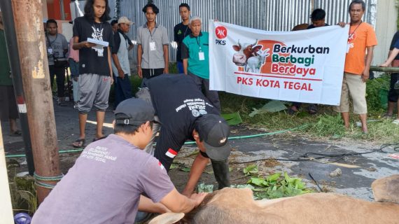 PKS Kota Tegal Salurkan 4.672 Paket Daging Kurban Serentak di 4 Dapil